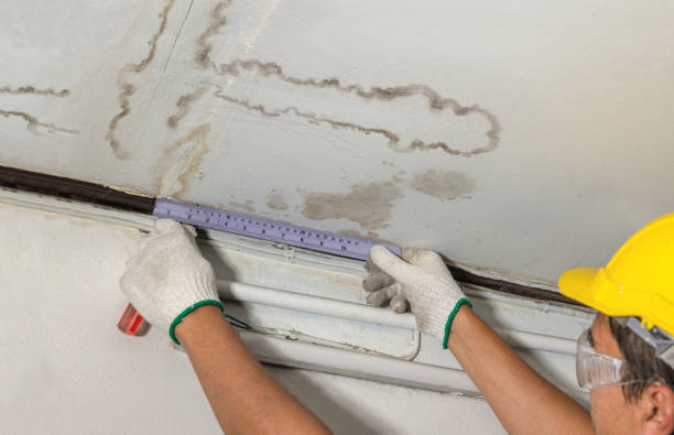 Reliable Flood Cleanup contractor in Newport, TN by Water Damage Irwin